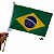Bandeira do Brasil Tecido Copa do Mundo 21x14cm com 12 unidades - Imagem 1