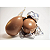 Kit 3 folhas de Chumbo Ovos de Páscoa 43,5x59cm Escolha a cor - Imagem 2
