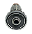 Induzido / Rotor para Politriz 3250 / PPO 9-180 (PRODUTO IMPORTADO) - Imagem 5