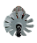 Induzido / Rotor para Serra 5800h / 5800nh #22 (PRODUTO IMPORTADO) - Imagem 6