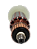 Induzido / Rotor para Esmerilhadeira compatível 9556 / 9557 / 9557nb (PRODUTO IMPORTADO) - Imagem 10