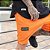 Bermuda Bae Summer Orange - Imagem 3