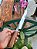 Faca Formiga 8" Inox ,  Cabo em Madeira - Imagem 8