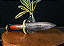 Punhal 8'' Zakharov Decorativo na Bainha de Couro - Imagem 4