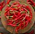 MOLHO DE PIMENTA CAYENNE ORIGINAL 100ML - Imagem 3