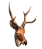 Escultura Realista de Cervo Axis – Beleza da Natureza Para Seu Espaço - Imagem 3