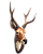 Escultura Realista de Cervo Axis – Beleza da Natureza Para Seu Espaço - Imagem 4