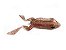 ISCA ARTIFICIAL SOFT MONSTER X-FROG TOP W ULTRA RED - Imagem 1