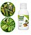 Fertilizante Forth Enxofre Concentrado 60ml - Imagem 4