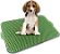 Sanitario Higienico para o cão Xixi Dog - Imagem 4