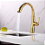 Torneira Monocomando Dourada Gold Ducha Extensível Spray Chuveirinho Luxo Cozinha Área Gourmet  in63 - Imagem 4