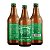 ALPHABIER BELGIAN BLOND ALE - DryHop CITRA (Relançamento) - Imagem 2