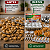 Kit Modelador de Salgados: Coxinhas, Pastéis e Esfihas - Imagem 2