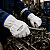 Luva De Vaqueta Punho 7 Petroleira Segurança Solda Tig CA 25974 - Imagem 2