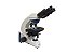 Microscópio Binocular Blue 1600X - Biofocus - Imagem 1