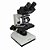 Microscópio Biológico Binocular com Aumento 40x até 1600x - Imagem 1