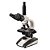 Microscópio Biológico Trinocular com Aumento de 40X, 64X, 100X, 160X, 400X, 640X, 1000X e 1600X - TIM 2008T - Imagem 1