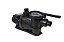 Motobomba para Piscina 1/2 CV EBP-50 Eletroplas 110/220v - Imagem 1
