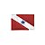 Bordado Termocolante Bandeira Do Pará - Imagem 1