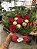 Buquê 6 Rosas + Ferrero Rocher - Imagem 4