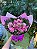 Buquê 6 Rosas Coloridas com Alstromélias - Imagem 1