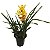 Orquídea Cymbidium 1 Haste ( Cores Variadas) - Imagem 1