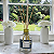 Difusor de Ambiente - Aroma Alecrim 250ml - Imagem 2