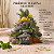 Difusor de Ambiente - Aroma Alecrim 250ml - Imagem 5
