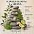 Difusor de Ambiente - Brisa 250ml - Imagem 4