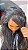 LACE FRONT HUMANA MARCELA - Imagem 3