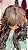 WIG BRENDA PRETA COM MECHAS - Imagem 3