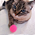 BRINQUEDO PARA GATOS - Bolinha pompom - Imagem 3