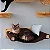 CAMA SUSPENSA PARA GATOS - Imagem 4