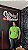 Camiseta Nike Masculina Treino Seleção Brasileira - Verde FZ5452 - Imagem 1