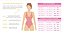 Body Feminino Trituê Maiô Shine Azul Marinho Cavado Praia Piscina - Imagem 5