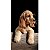 Toalha de Praia aveludada Cute Puppy Cachorro Buettner - Imagem 1