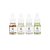 Kit de Sérum Hanbang Discovery 4 Unidades - Beauty of Joseon - Imagem 1