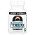Pycnogenol 100 mg 60 Comprimidos - Source Naturals - Imagem 1