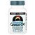 Ginkgo-24 Extrato de Ginkgo Biloba 120 mg 120 Comprimidos - Source Naturals - Imagem 1