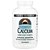 Cálcio 200 mg 250 Comprimidos - Source Naturals - Imagem 1