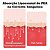 PEA, Palmitoiletanolamida 1000mg + Luteolina 100mg , 60 Softgels Rosmolo - Imagem 3