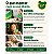 Grüns Adult Greens Gummies, Superfoods, Prebióticos, Fibras, 20+ Vitaminas e Minerais – 35 Sachês - Imagem 4