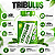 Tribulus Terrestris 1000mg 60% Saponinas 100 Cápsulas - Nutrakey - Imagem 3