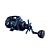 Carretilha Esquerda Raptor Big Game Ultra 6+1 Rol - Pesca Brasil - Imagem 6