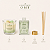 Kit Coleção Aurora Verde | Vela Aromática + Difusor de Varetas - Imagem 3