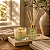 Kit Coleção Aurora Verde | Vela Aromática + Difusor de Varetas - Imagem 7