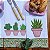 Kit 4 Pano de Prato – Cactos, 65cm x 44cm. - Imagem 4