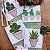 Kit 4 Pano de Prato – Cactos, 65cm x 44cm. - Imagem 8