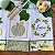 Kit 4 Pano de Prato – VERDES, 65cm x 44cm. - Imagem 4