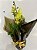 Mini Orquídea Presente - Imagem 1
